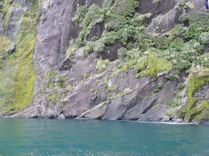 DSCN4364.JPG