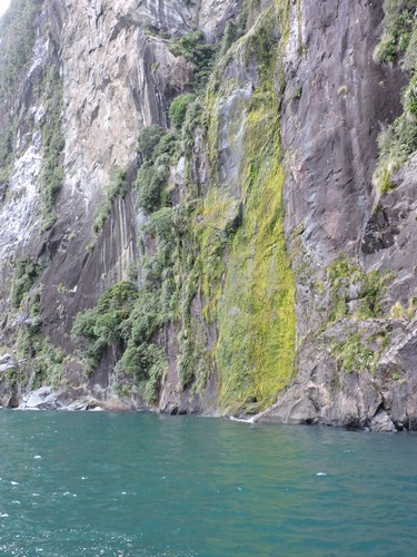 DSCN4365.JPG