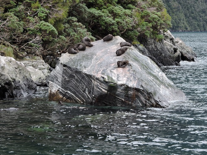 DSCN4381.JPG