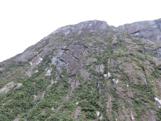 DSCN4397.JPG