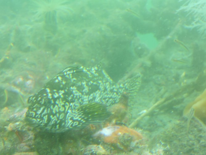 DSCN4404.JPG