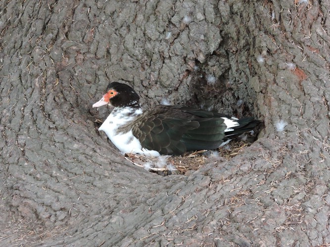 DSCN4439.JPG