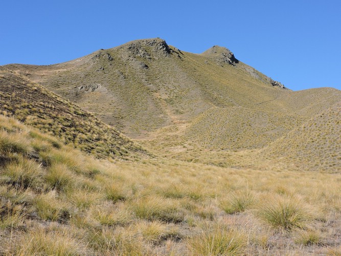 DSCN4444.JPG