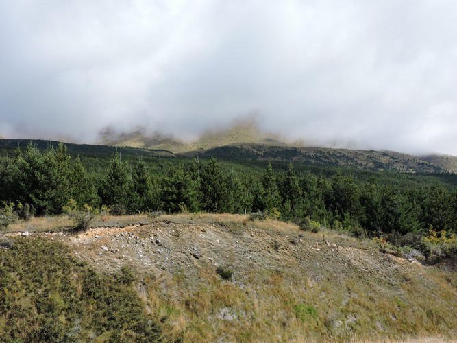 DSCN4456.JPG