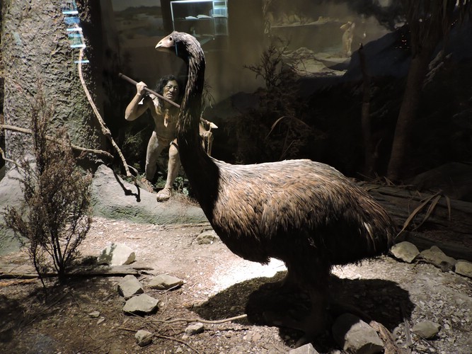 DSCN4559.JPG