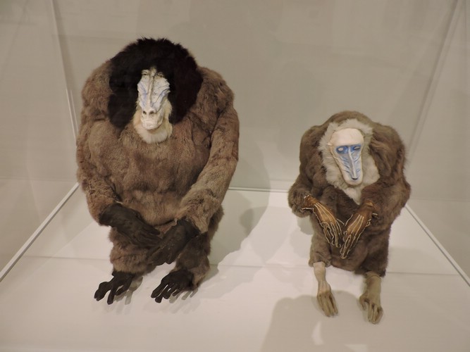 DSCN4583.JPG