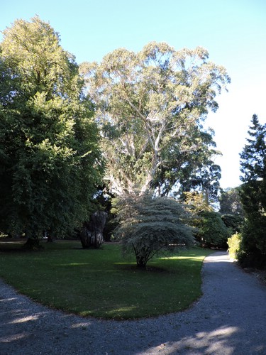 DSCN4594.JPG