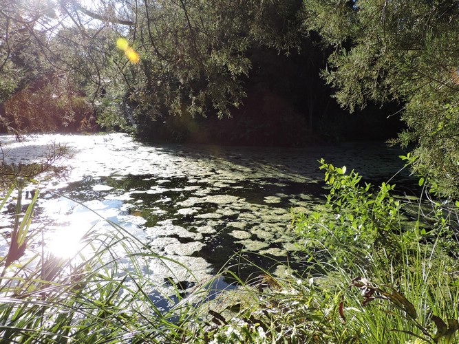 DSCN4595.JPG