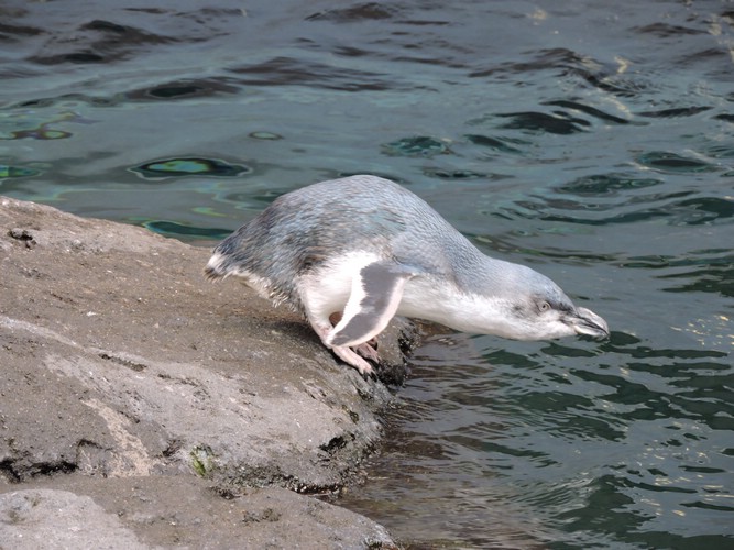 DSCN4615.JPG