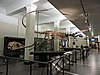 DSCN3672.JPG