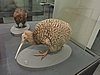 DSCN3673.JPG