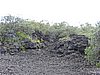 DSCN3694.JPG