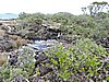 DSCN3697.JPG