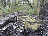 DSCN3698.JPG