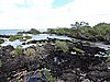 DSCN3699.JPG