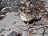 DSCN3706.JPG
