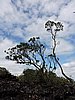 DSCN3707.JPG