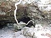 DSCN3717.JPG