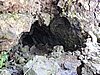 DSCN3718.JPG