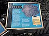 DSCN3724.JPG