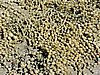 DSCN3730.JPG