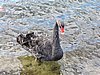DSCN3759.JPG