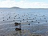 DSCN3762.JPG