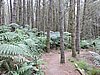 DSCN3774.JPG