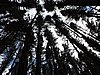 DSCN3775.JPG