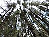 DSCN3776.JPG