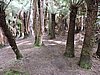 DSCN3777.JPG