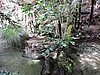 DSCN3778.JPG