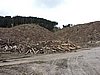 DSCN3780.JPG