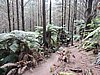 DSCN3783.JPG