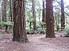 DSCN3785.JPG