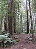 DSCN3786.JPG
