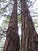 DSCN3787.JPG