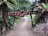 DSCN3788.JPG