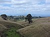 DSCN3821.JPG