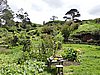 DSCN3825.JPG