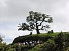 DSCN3837.JPG