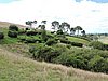 DSCN3838.JPG