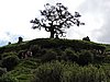 DSCN3849.JPG