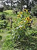DSCN3869.JPG