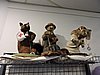 DSCN3884.JPG