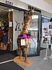 DSCN3885.JPG