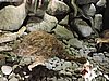 DSCN3913.JPG