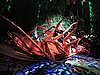 DSCN3920.JPG
