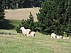 DSCN4015.JPG