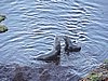 DSCN4100.JPG